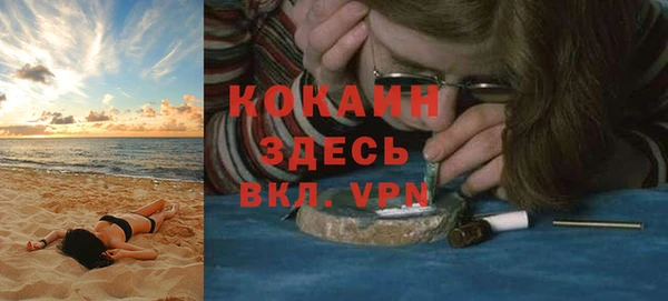 стаф Новодвинск