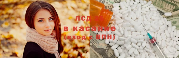 стаф Новодвинск