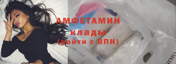 стаф Новодвинск