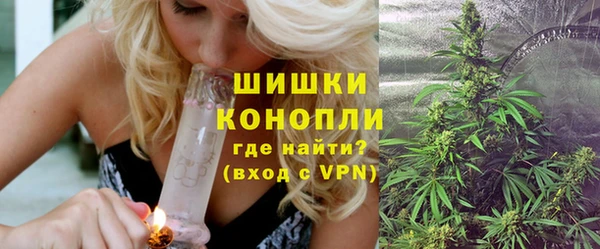 стаф Новодвинск