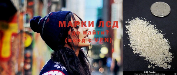 стаф Новодвинск