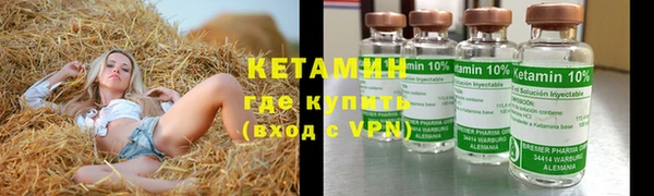 прущие грибы Белая Холуница
